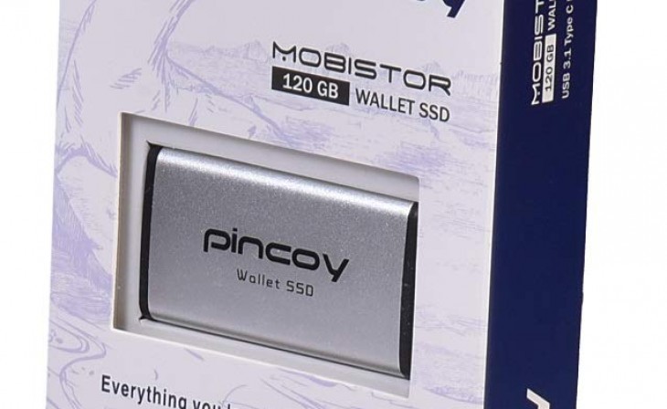 Pincoy MobiStor 120GB Wallet SSD